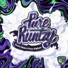 T.H. Seeds Pure Runtzy feminizované semená
