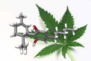 CBD lekárske modely konope