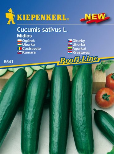Cucumber Midios F1 - cucumber seeds