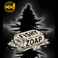 Seedstockers Fishy Zoap Auto samonakvétací semena