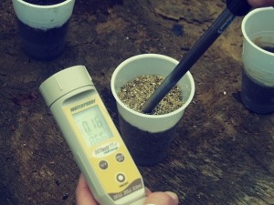 EC při pěstování konopí – Kompletní hodnota průvodce elektrickou vodivostí
