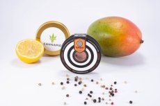 Mataro Blue - 3ks feminizovaná semínka Kannabia Seeds