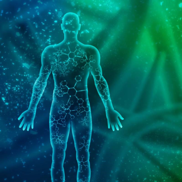 Mehr als 10 Wege, das Endocannabinoidsystem ohne Cannabis zu unterstützen