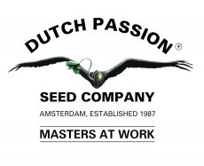 Mix 1 - Dutch Passion 6pcs