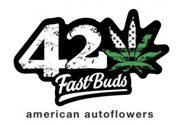 Fast Buds Autoflower Semena | Cannapio.cz
