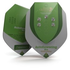 Autoflower mix - 5 sztuk feminizowanych nasion Royal Queen Seeds