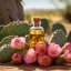 BIO Opunciový olej (Opuntia ficus-indica) 10ml