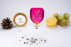 Shogun - feminisierte Samen 5 Stück Royal Queen Seeds