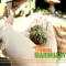 Cannabis Instead of Antidepressants?