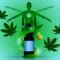 Homeostasis: What is it and how is it related to CBD?