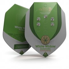 White Widow Automatic - feminizovaná a samonakvétací semínka 10 ks Royal Queen Seeds