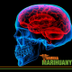 Therapeutic Cannabis and Treatment of Brain Tumors