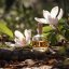 BIO Magnólia - 100% prírodný esenciálny olej (10ml) - Pestík