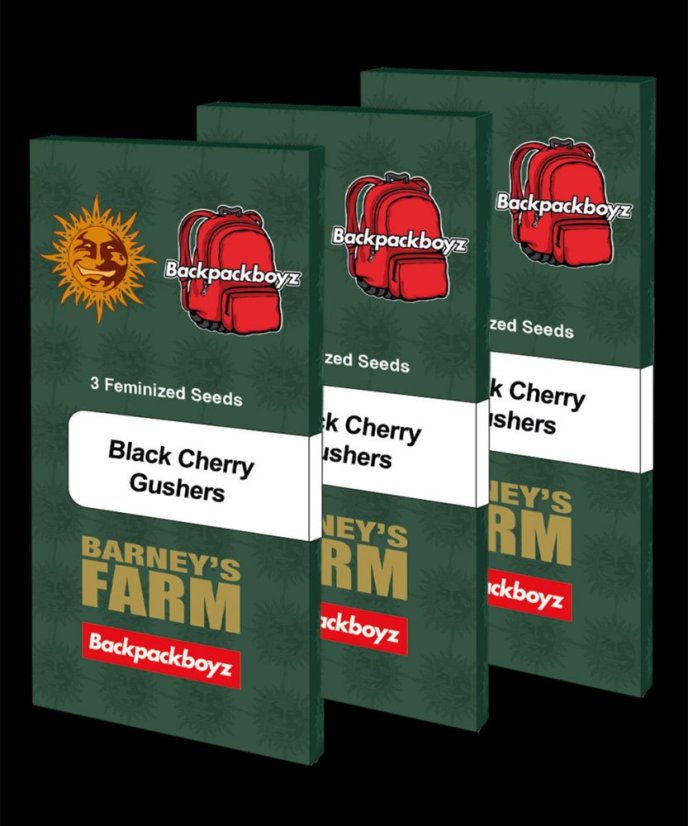 Black Cherry Gushers - feminizované semená, 10 ks, Barney's Farm
