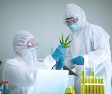 Die wichtigsten Studien und Ereignisse aus der Welt des medizinischen Cannabis