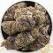Bruce Banner: One of the Strongest Cannabis Strains