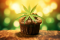 BAKING WITH HEMP: HEMP MUFFINS YOU MUST TRY!