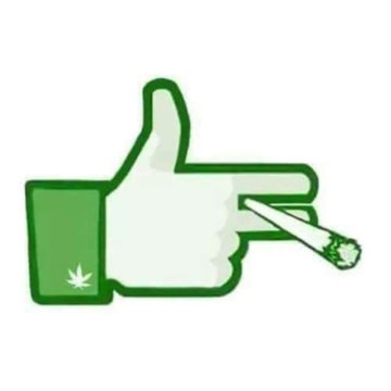 Google und Facebook werden keine Werbung für Marihuana veröffentlichen, auch nicht in Staaten, in denen es legal ist