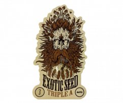 Triple A Auto - autoflowering marijuana seeds, 3pcs Exotic Seed