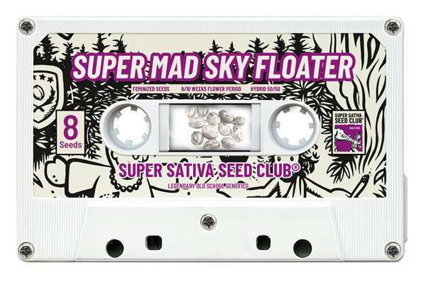 Super Mad Sky Floater - feminized seeds 3 pcs, Super Sativa Seed Club