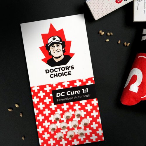 DC Cure 1:1 - smonakvétací semena 3ks, Doctor's Choice