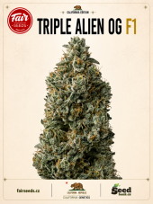 Fair Seeds Triple Alien OG F1 Feminized Seeds