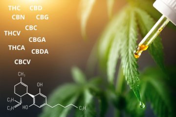 CANNABIS UND CANNABINOIDE: EIN LEITFADEN ZU CANNABINOIDEN UND IHREN WIRKUNGEN