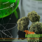 What is the correct CBD dosage?