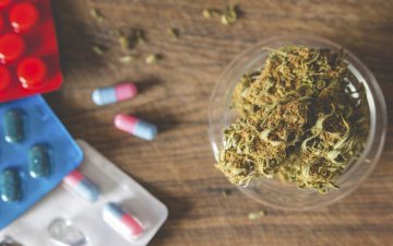 Může lékařská marihuana pomoci omezit opiátovou epidemii? 