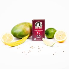 Sensi Amnesia - feminizované semienka konope 5 ks, Sensi Seeds
