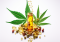 CBD Capsules vs. CBD Oil: Which Product is Right for You?