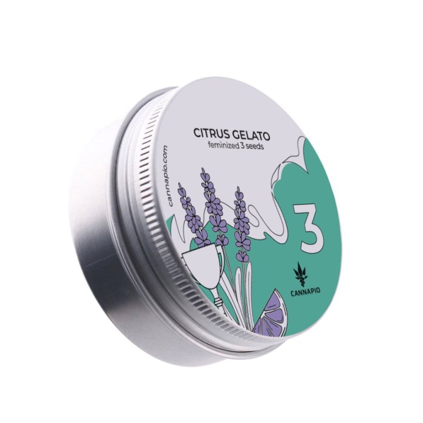 Citrus Gelato - feminisierte Samen 3 Stück Cannapio