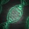 Cannabis Genetics: New Varieties and Breeding Methods