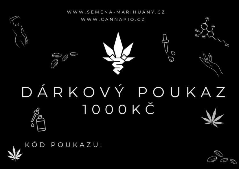 Kupon podarunkowy