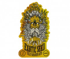Jelly Bananen Auto - samonakvétací semena marihuany, 3ks Exotic Seed