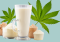 Hemp Protein: Can Excessive Consumption Be Dangerous?