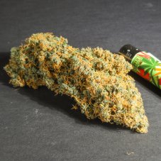 Pineapple Poison - feminized seeds 8 pcs, Super Sativa Seed Club