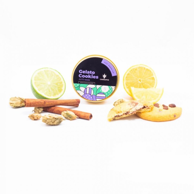 Auto Gelato Cookies - nasiona kwitnące automatycznie 5 szt Cannapio