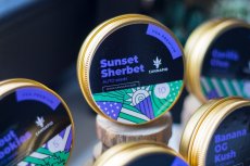 Auto Sunset Sherbet - autoflowering semena 5 ks Cannapio