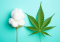 Hemp or Cotton: Which Textile Material is Better and Why?
