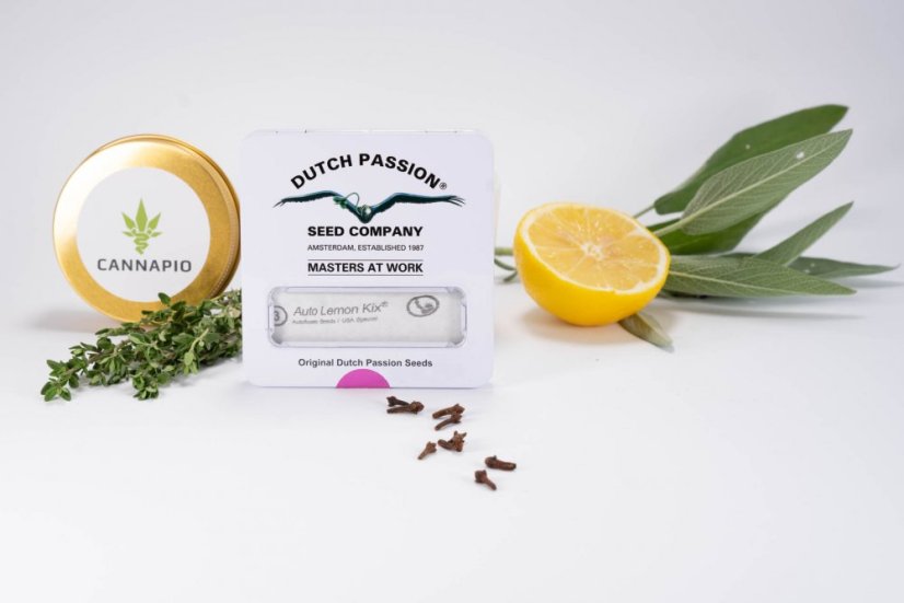 Auto Lemon Kix®  - feminizovaná a samonakvétací semínka 3 ks Dutch Passion