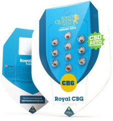 Royal CBG Automatic - samokvitnúce semienka 3 ks Royal Queen Seeds