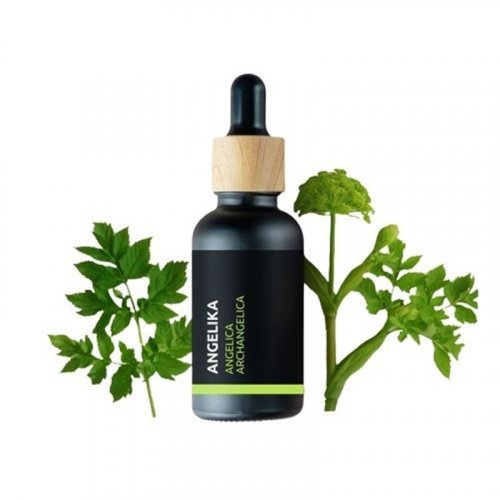 Angelica - 100% Natural Essential Oil (10ml) - Pestik