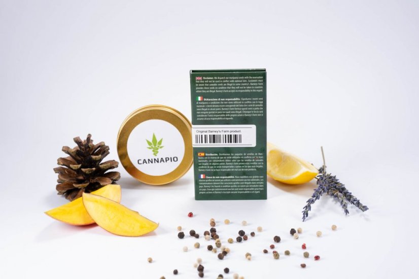 Vanilla Kush – feminizované semienka 10 ks Barney's Farm