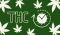 How long does THC remain
