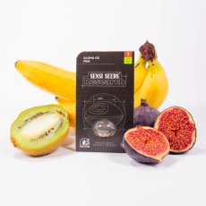 Aloha OG - feminisierte Hanfsamen 3 Stück, Sensi Seeds