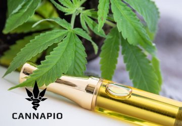 CBD e-liquid – domácí výroba krok za krokem