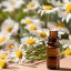BIO Sedmokráska – 100 % prírodný infuzovaný olej (10 ml)
