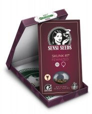 Skunk n.1 - nasiona feminizowane 25 szt Sensi Seeds