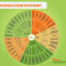 Synergy of Cannabis Therapeutic Substances